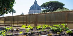 Este jardín secreto donde crecen las verduras “orgánicas” del Vaticano