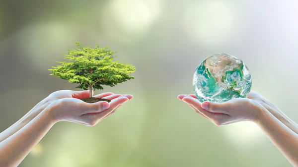 ecology