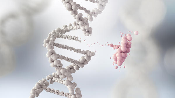 DNA