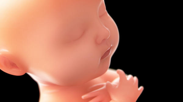 FETUS