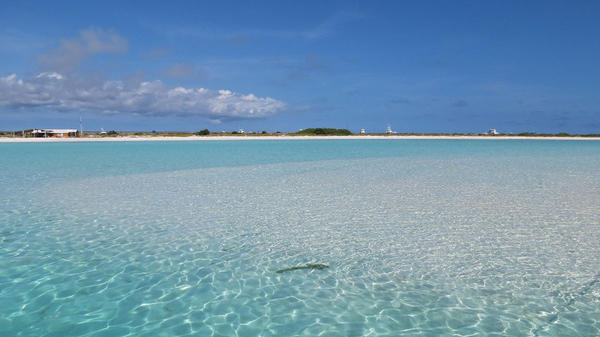 ISLA TORTUGA