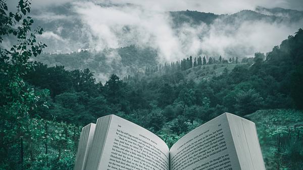 BOOK