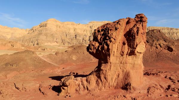 WEB2-TIMNA-AFP-058_2412260.jpg