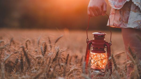 LANTERN, FIELD, HAND