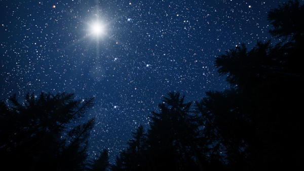 Star of Bethlehem