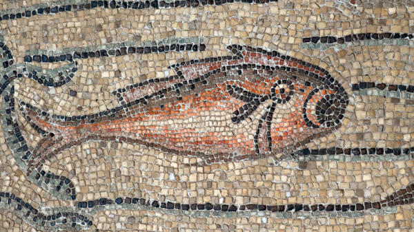 poisson