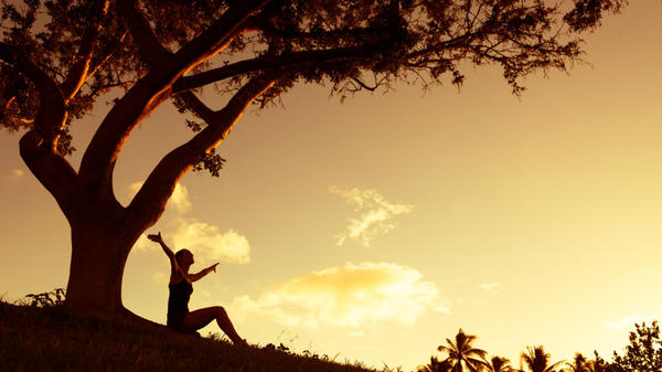 TRAMONTO SOTTO UN ALBERO