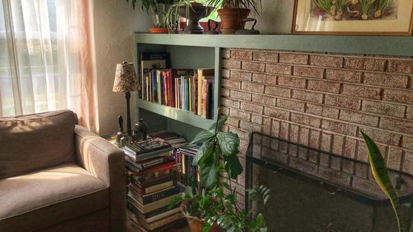 Living room with plants