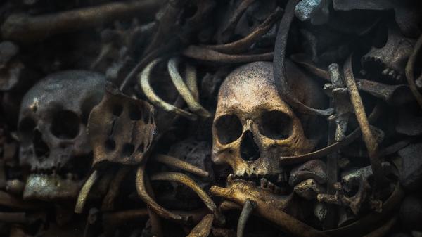 Bones, Memento Mori