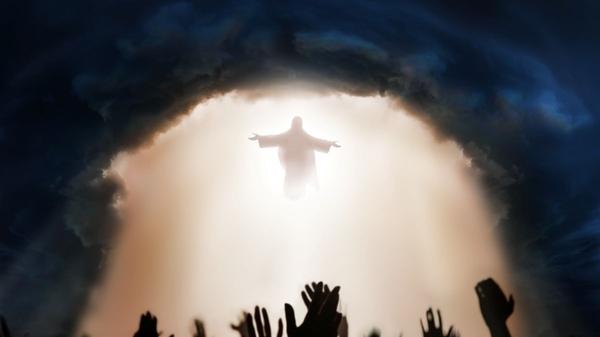 Juicio final y juicio particular