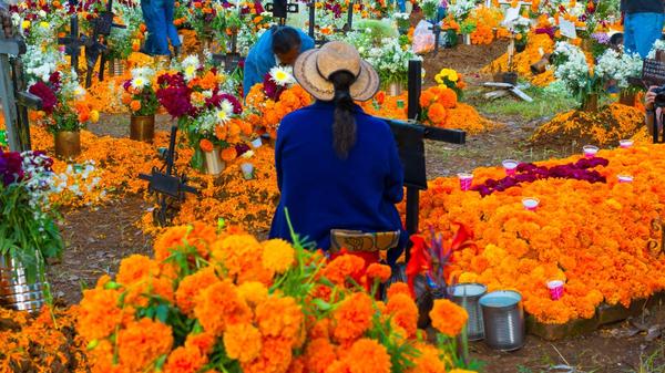 costumbre prehispánica, flores, velorios,