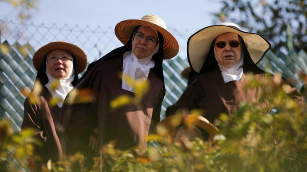 carmelite-nuns-attend-pope-leo-xiv-mass-prairie-shrine-our-lady-lourdes-france-september-27-2026