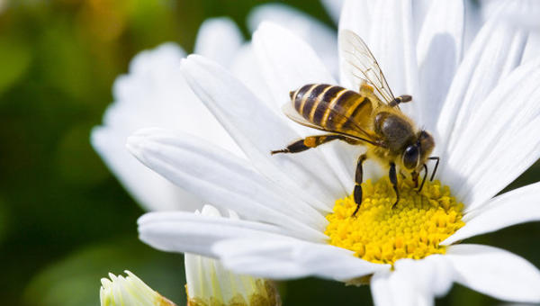 API PREGHIERA NATURA
