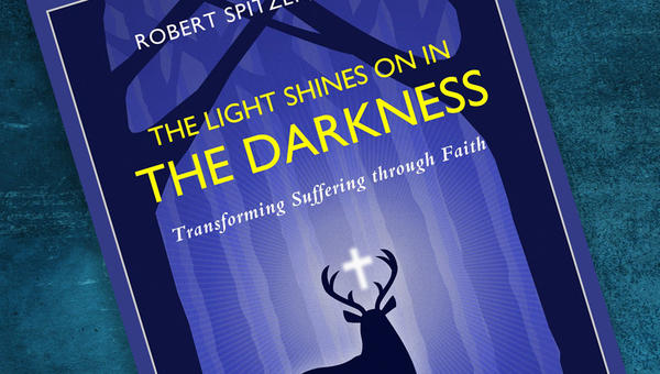 THE LIGHT SHINES ON IN DARKNESS