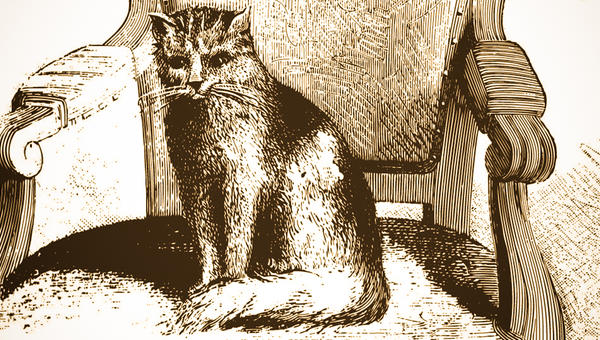 MICETTO CAT