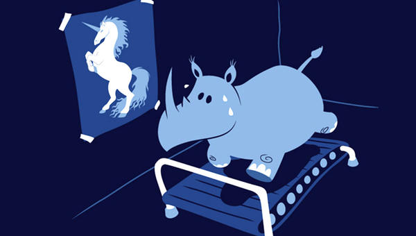 RHINO