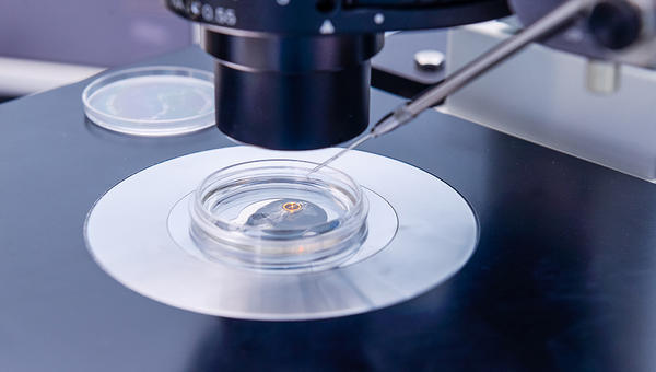 IN VITRO