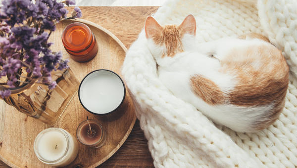 DECO HYGGE