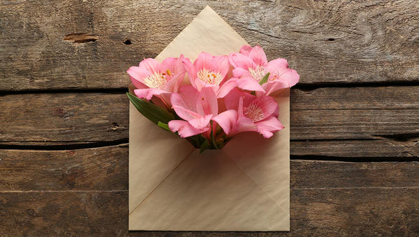 ENVELOPE