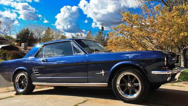 BLUE MUSTANG