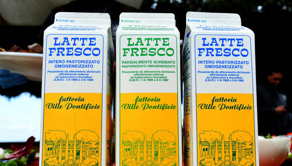 MILK VATICAN