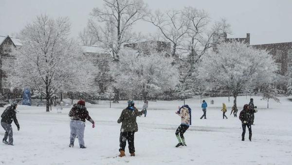 Neige Hiver Froid