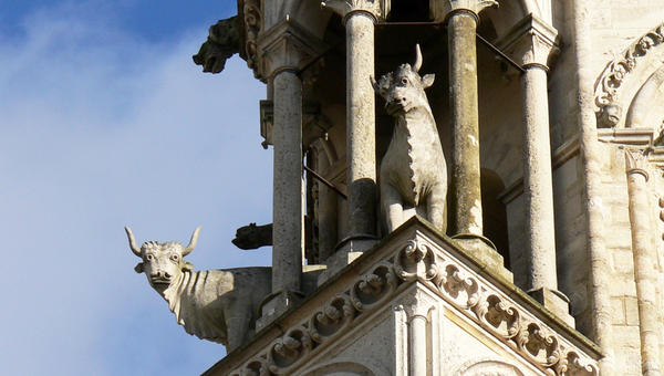 LAON OX