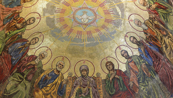 APOSTLES DOVE