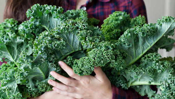 HANDFUL OF KALE