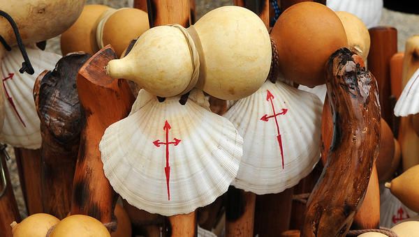 CAMINO SANTIAGO