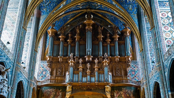 ALBI ORGAN