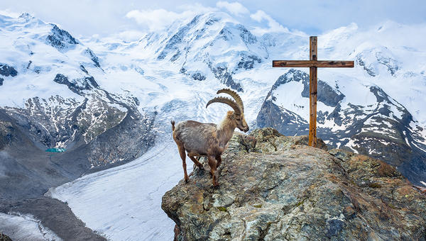GOAT,CROSS,MOUNTAIN