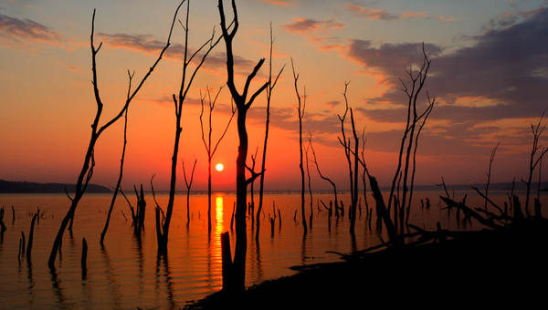 SUNRISE