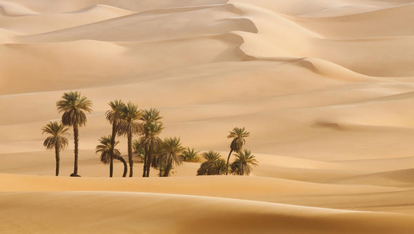 DUNES DESERT
