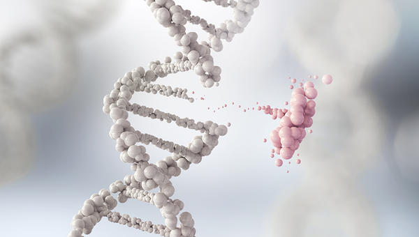 DNA