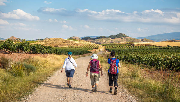 CAMINO