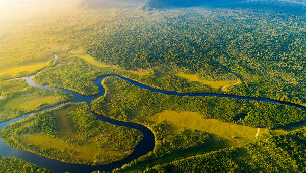AMAZZONIA FORESTA PLUVIALE