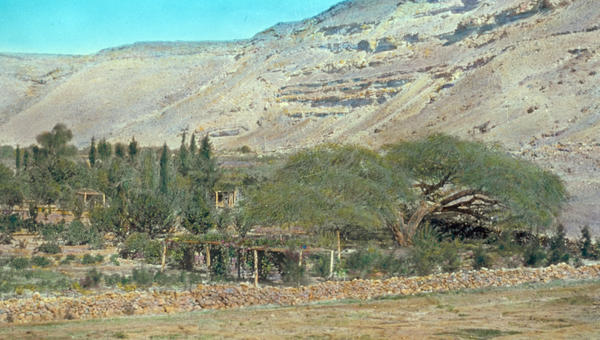Qadesh Barnéa