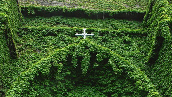 PASTORAL VERDE