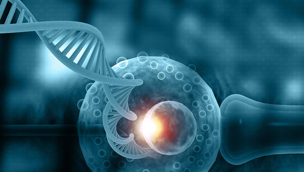 DNA