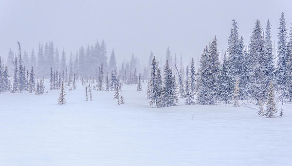 SNOW