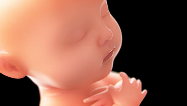 FETUS