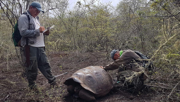 GALAPAGOS