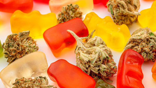 CANNABIS