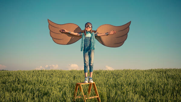 FLY