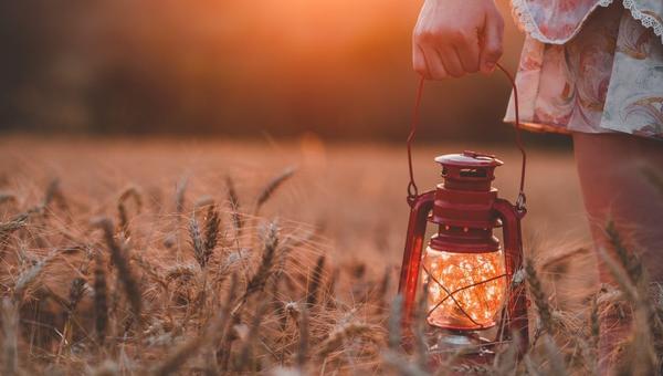 LANTERN, FIELD, HAND