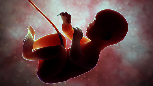ABORCJA