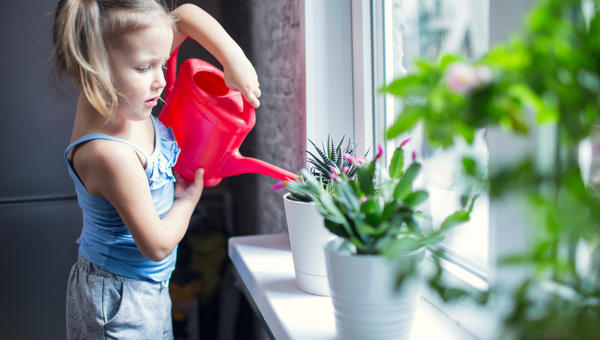 CHILD, WATERING, PLANTS