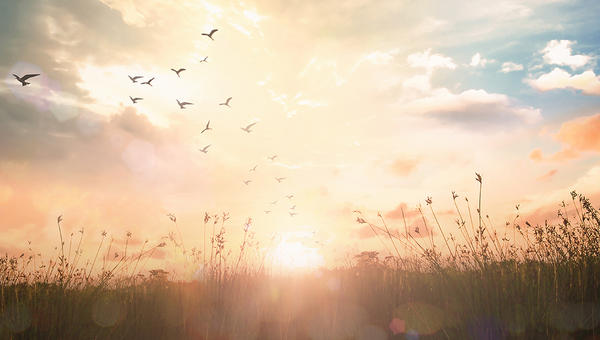 SUNRISE
