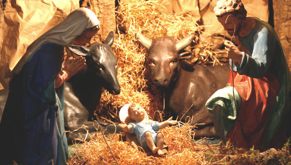 CRIB, OX, DONKEY